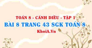 Bài 8 trang 43 SGK Toán 8 tập 1 Cánh Diều